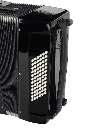 Aurus JH2022-Black Аккордеон 34/72/5, черный, с футляром.