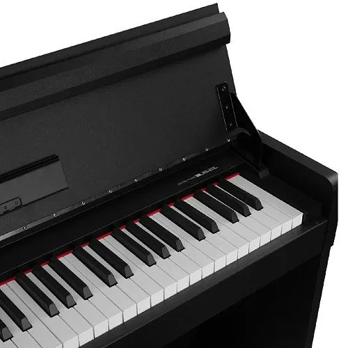 Nux WK-310-Black Цифровое пианино на стойке с педалями.