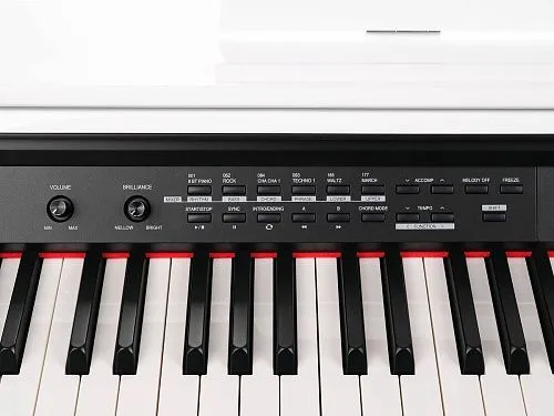 Medeli DP330-PVC-WH Цифровое пианино.