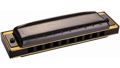 Hohner Pro Harp 562/20 MS C Губная гармошка.